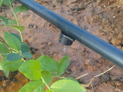 滴灌系统主要有哪些分类